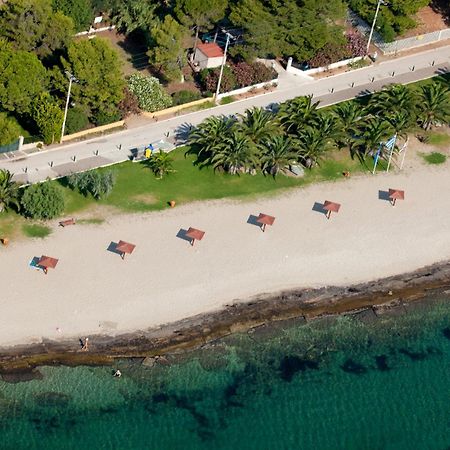 Néa Mákri Thomas Beach Hotel المظهر الخارجي الصورة